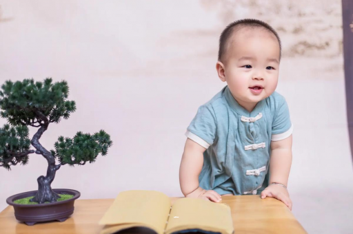 松滋可爱的企鹅宝宝